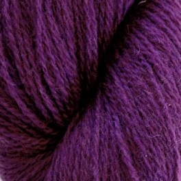 Bio shetland aubergine