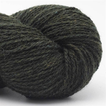 Bio Shetland evergreen