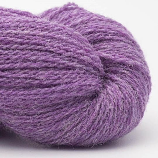 Bio Shetland fresie
