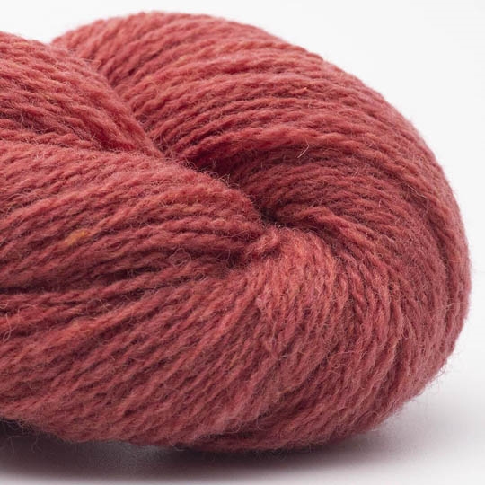 Bio Shetland hindbær