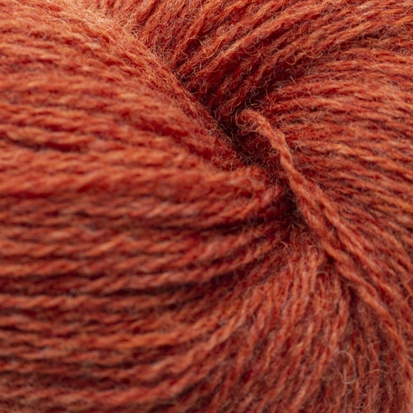 Bio Shetland, Rustorange - 52