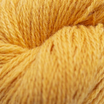 Bio Shetland, Solgul