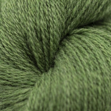 Bio Shetland, Sommereng - 57